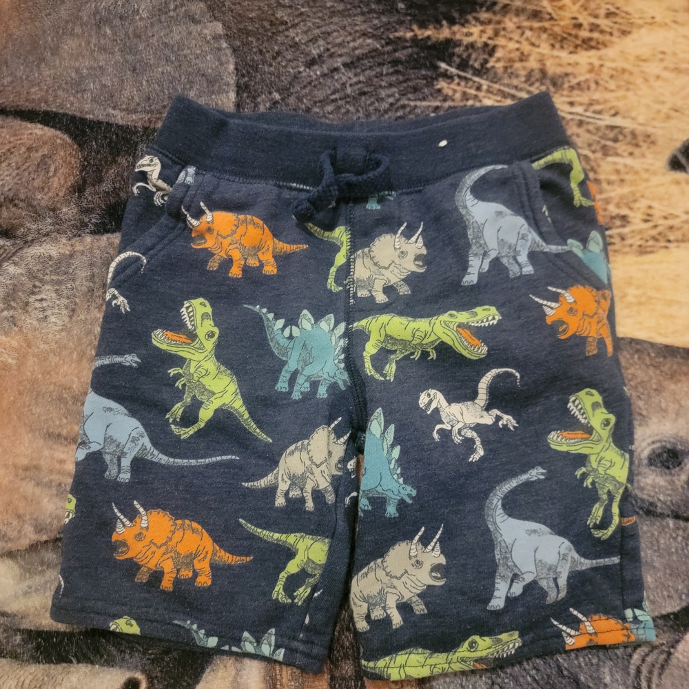 Dinosaur Print Kids Shorts